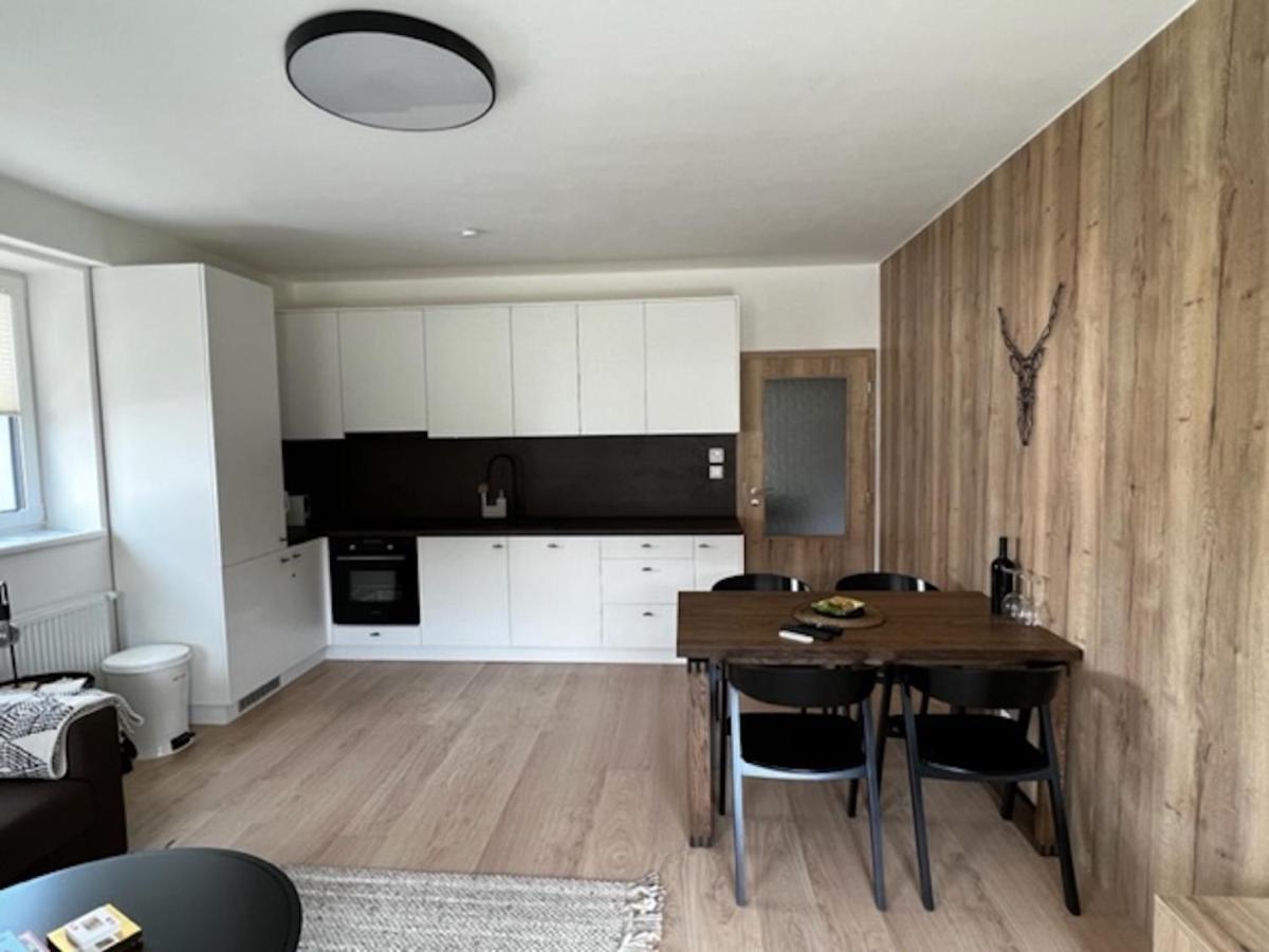 Klinovec Apartments Luxury Loučná pod Klínovcem Eksteriør bilde