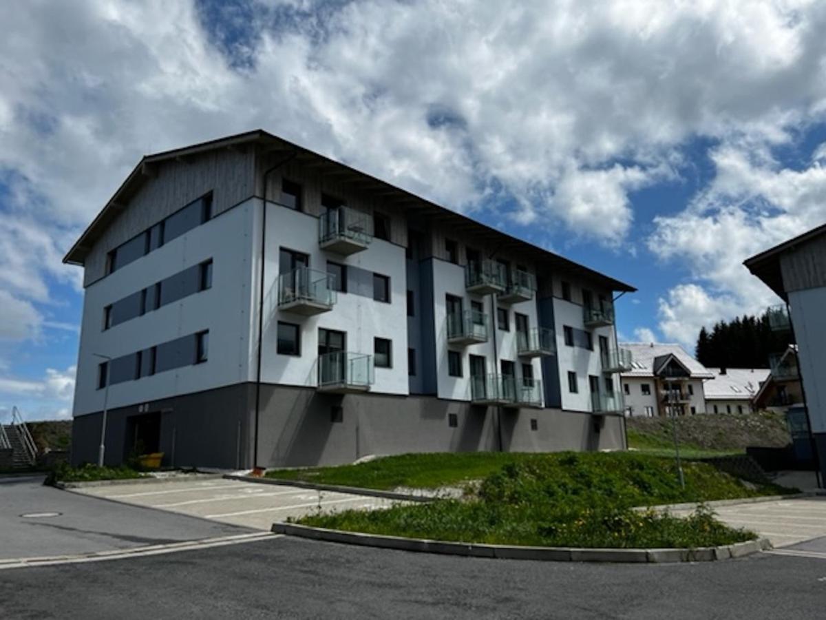 Klinovec Apartments Luxury Loučná pod Klínovcem Eksteriør bilde